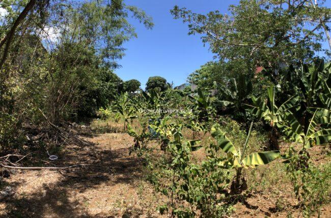 For Sale Residential Land Quatre Cocos