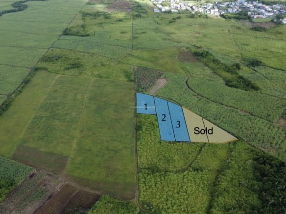 A vendre - Terrain agricole 1 603 m2 - Melrose, Moka