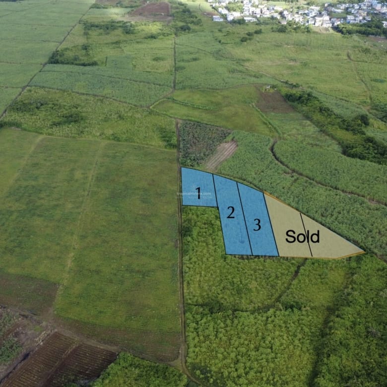 For Sale – Agricultural Land 1,603 m2 – Melrose, Moka