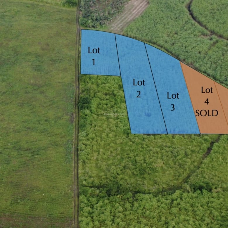 For Sale – Agricultural Land 1,603 m2 – Melrose, Moka