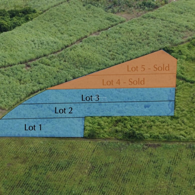 For Sale – Agricultural Land 1,603 m2 – Melrose, Moka