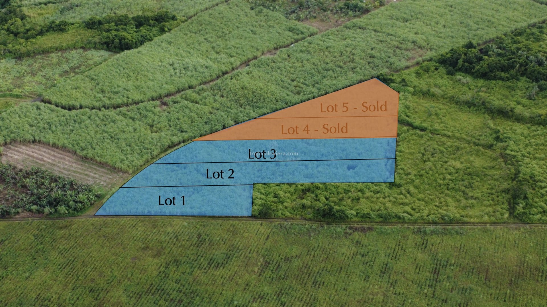 For Sale – Agricultural Land 1,603 m2 – Melrose, Moka