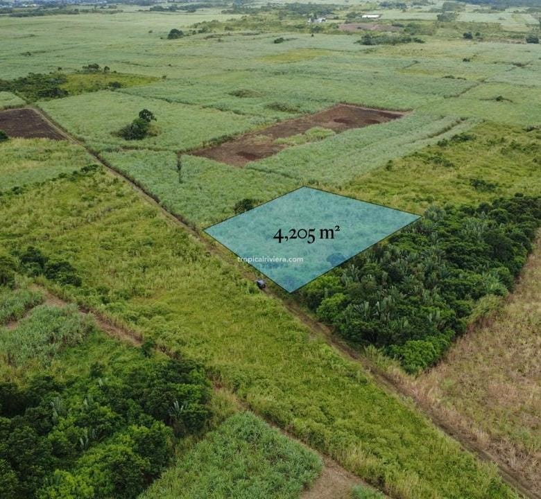 For Sale – Agricultural Land 4,205 m² – Camp Thorel, Moka
