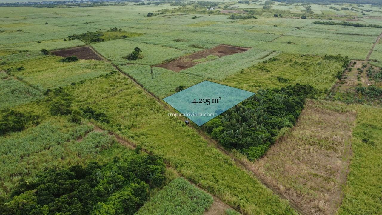 For Sale – Agricultural Land 4,205 m² – Camp Thorel, Moka