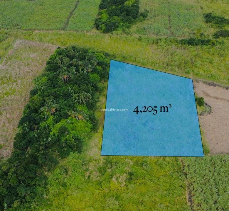For Sale – Agricultural Land 4,205 m² – Camp Thorel, Moka