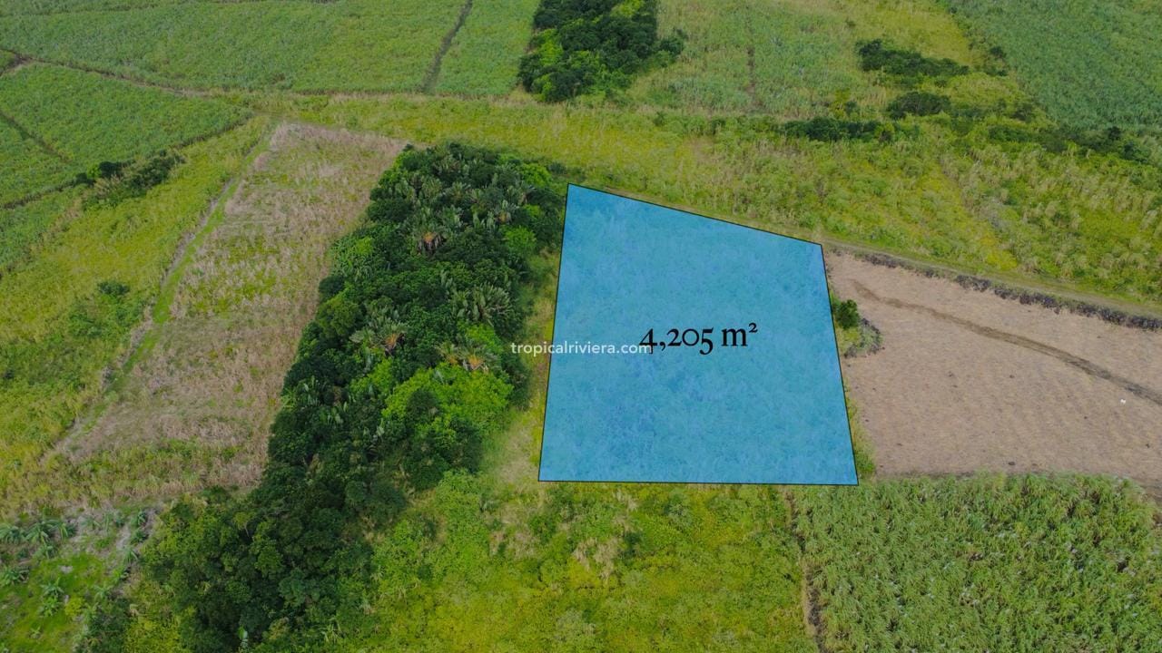 For Sale – Agricultural Land 4,205 m² – Camp Thorel, Moka