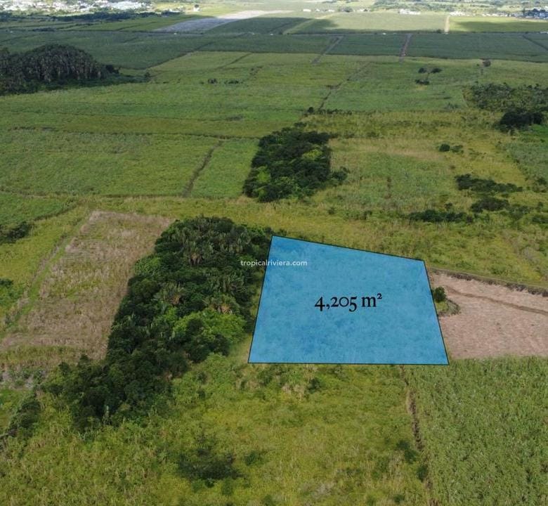 For Sale – Agricultural Land 4,205 m² – Camp Thorel, Moka