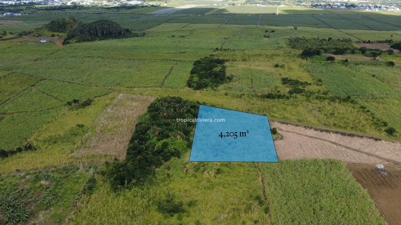 For Sale – Agricultural Land 4,205 m² – Camp Thorel, Moka