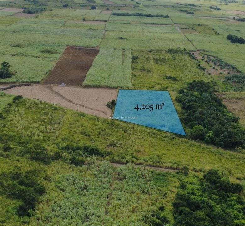 For Sale – Agricultural Land 4,205 m² – Camp Thorel, Moka