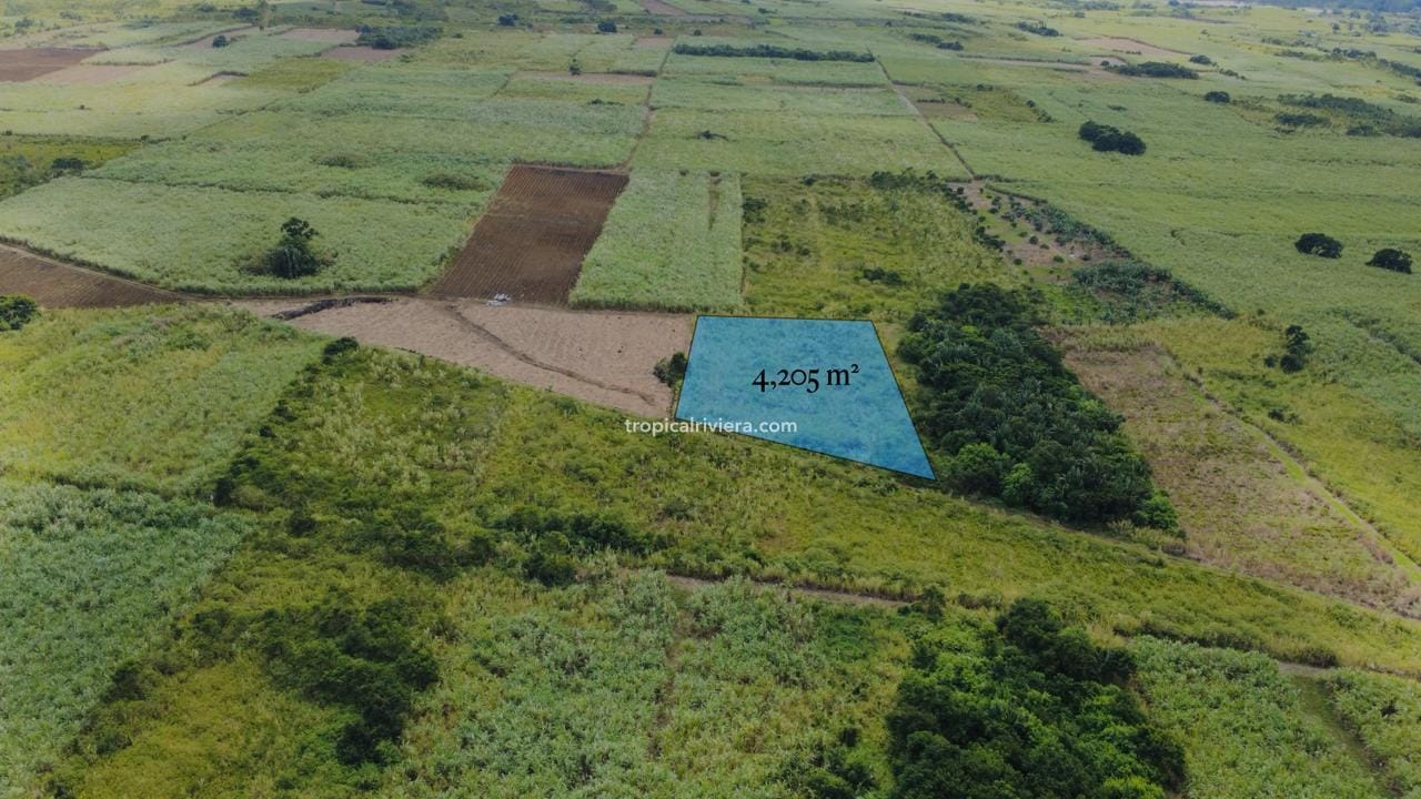 For Sale – Agricultural Land 4,205 m² – Camp Thorel, Moka