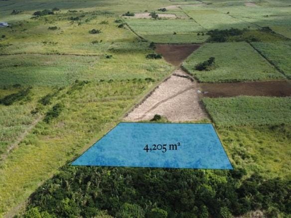 A vendre - Terrain agricole 4 205 m² - Camp Thorel, Moka