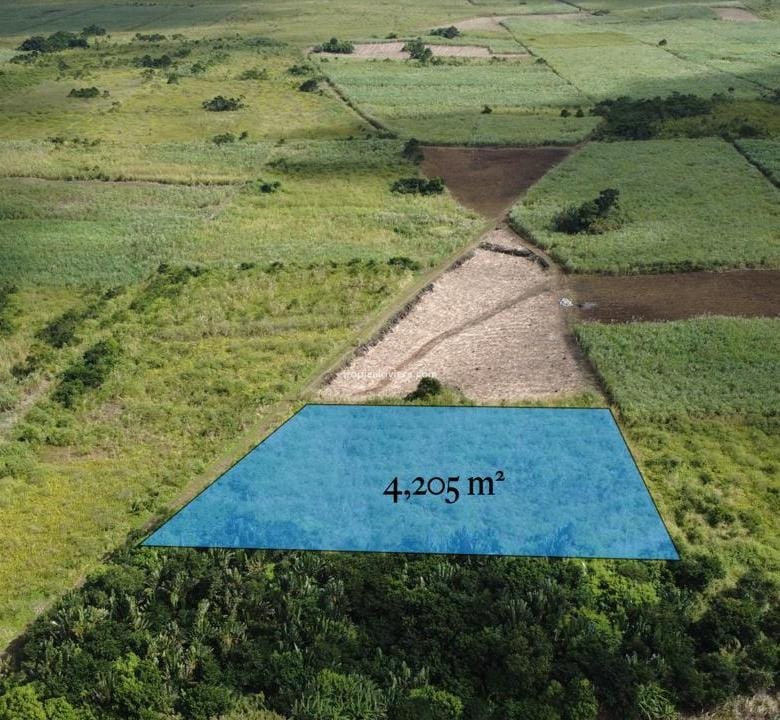 For Sale – Agricultural Land 4,205 m² – Camp Thorel, Moka