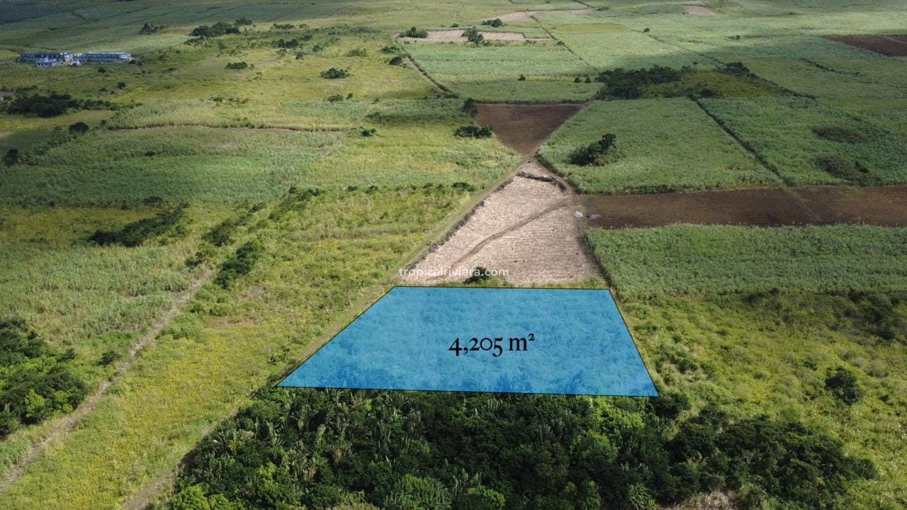 WhatsApp Image 2025-07-15 at 19.21.31 For Sale – Agricultural Land 4,205 m² – Camp Thorel, Moka