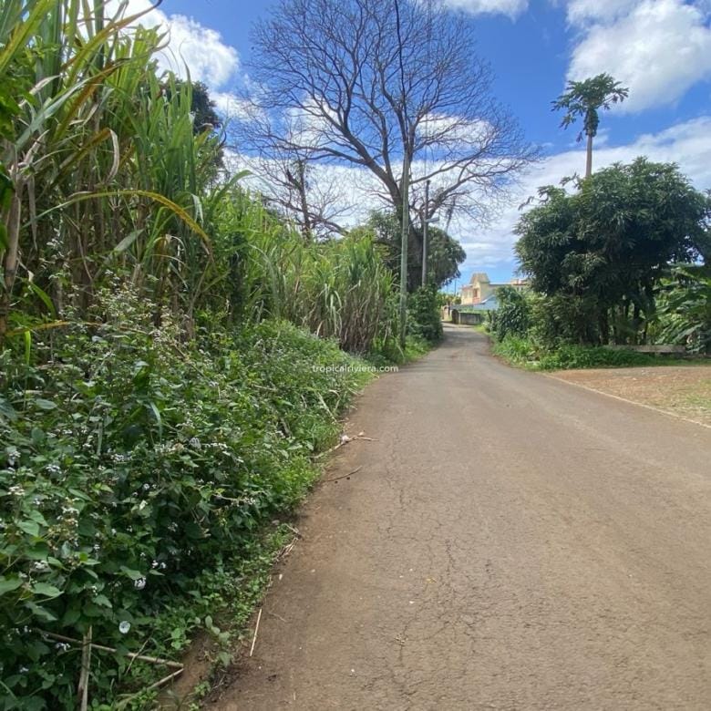 For Sale – Residential Land 285.60 m2 – Plaines de Gersigny, Flacq