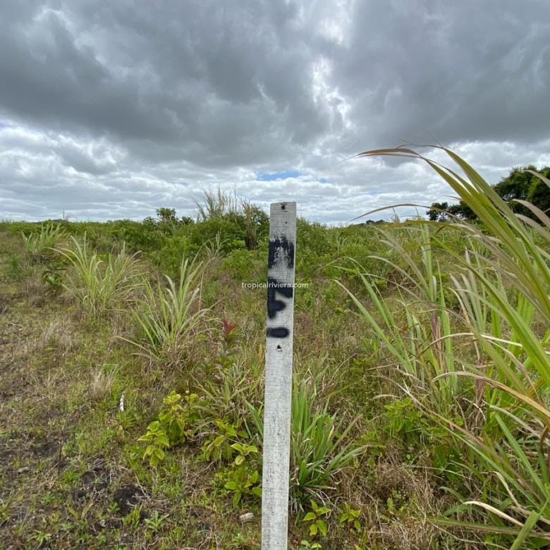 For Sale – Agricultural Land 2,186 m2 – Melrose, Moka