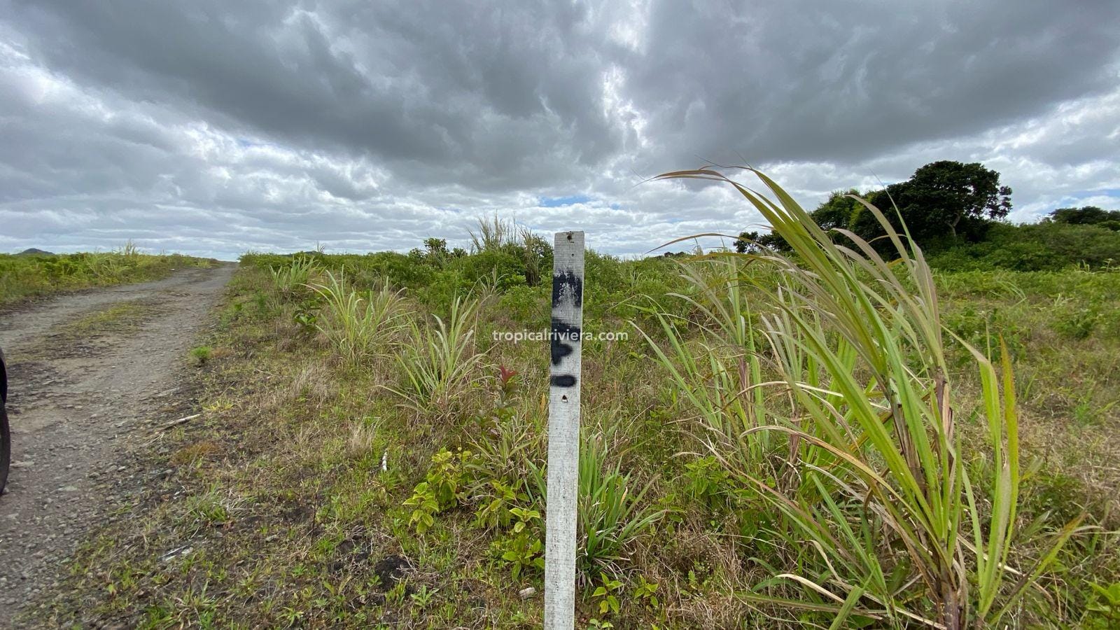 For Sale – Agricultural Land 2,186 m2 – Melrose, Moka