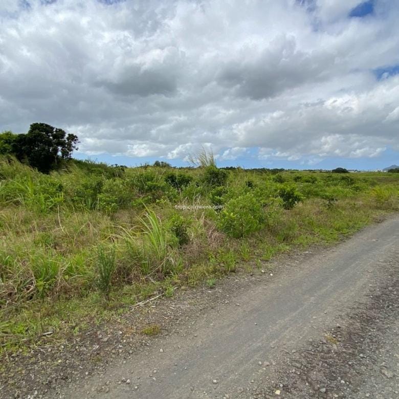 For Sale – Agricultural Land 2,186 m2 – Melrose, Moka