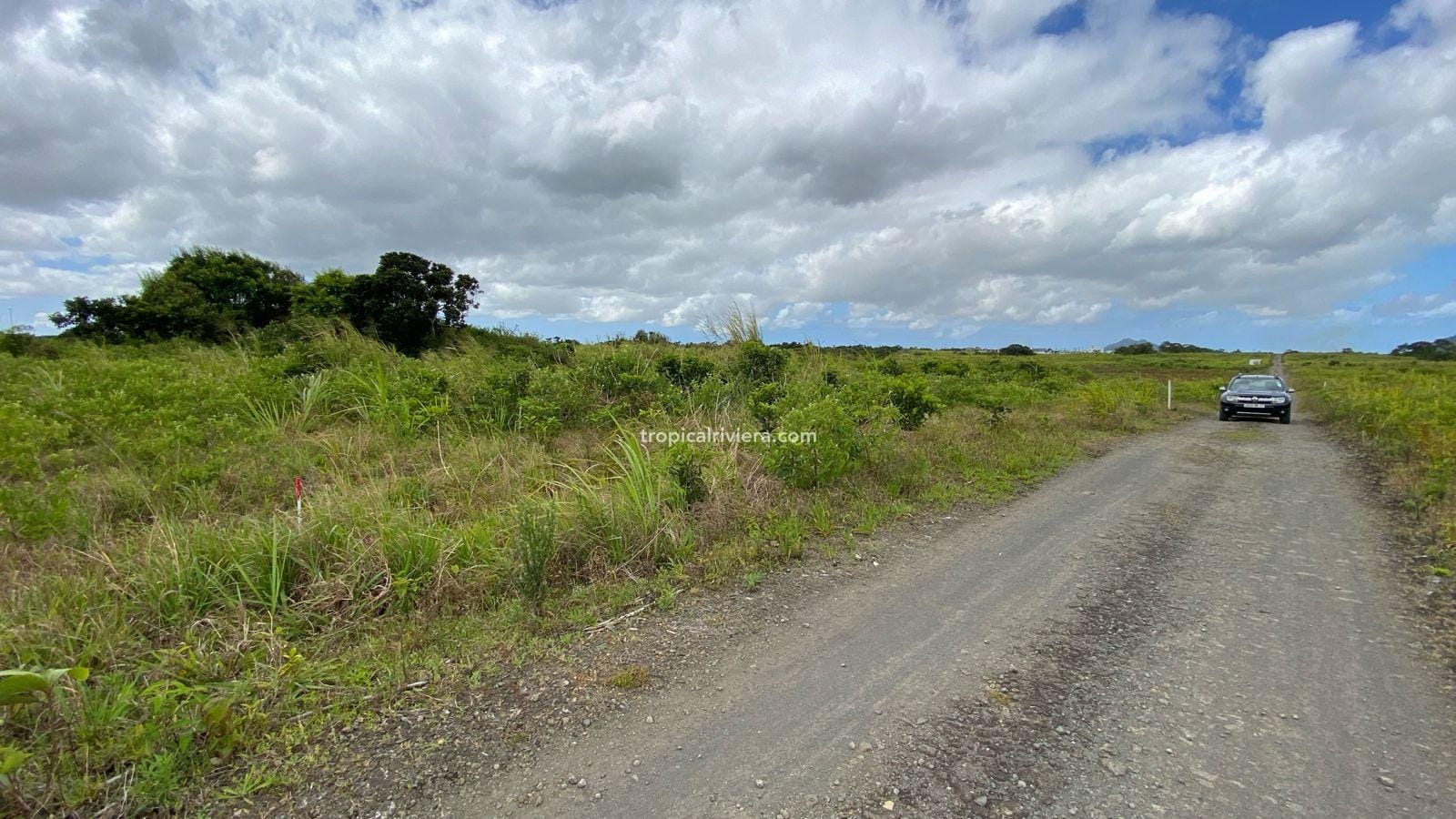For Sale – Agricultural Land 2,186 m2 – Melrose, Moka