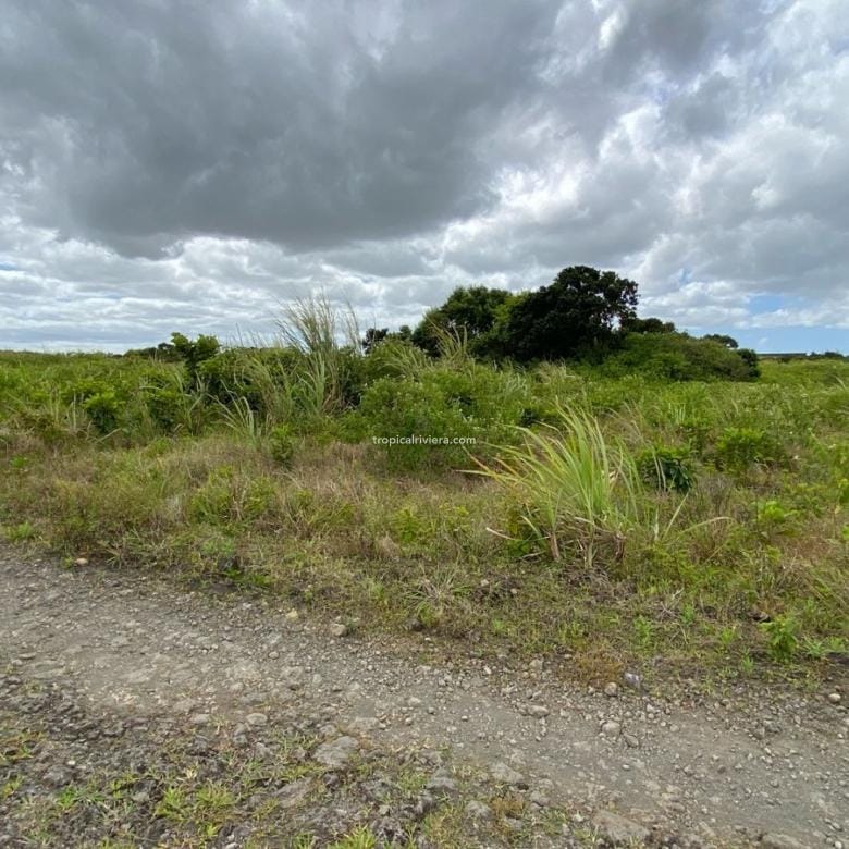 For Sale – Agricultural Land 2,186 m2 – Melrose, Moka