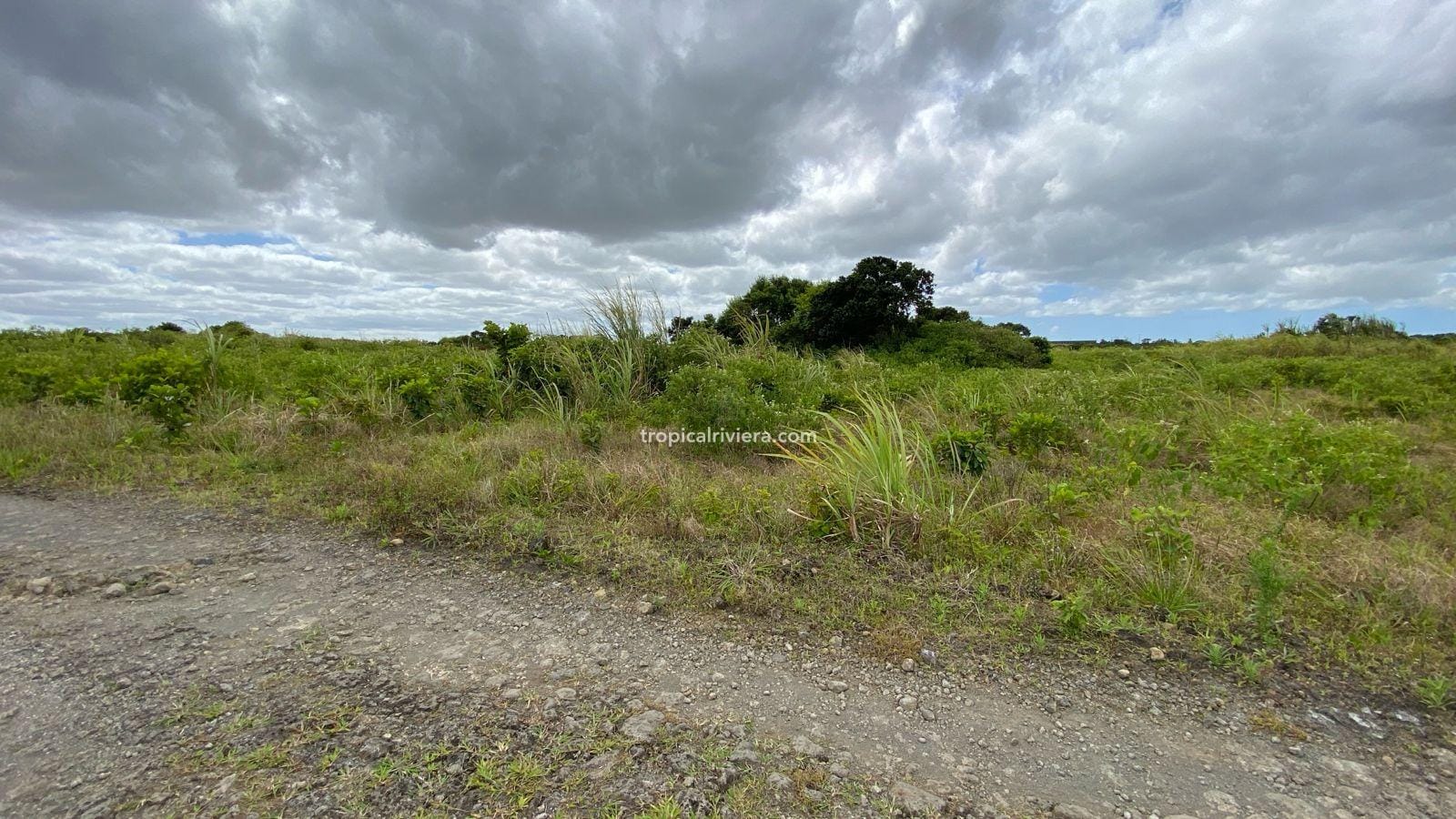 For Sale – Agricultural Land 2,186 m2 – Melrose, Moka