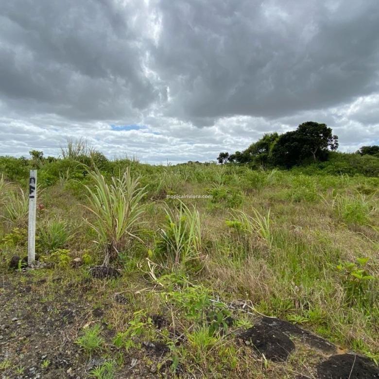 For Sale – Agricultural Land 2,186 m2 – Melrose, Moka