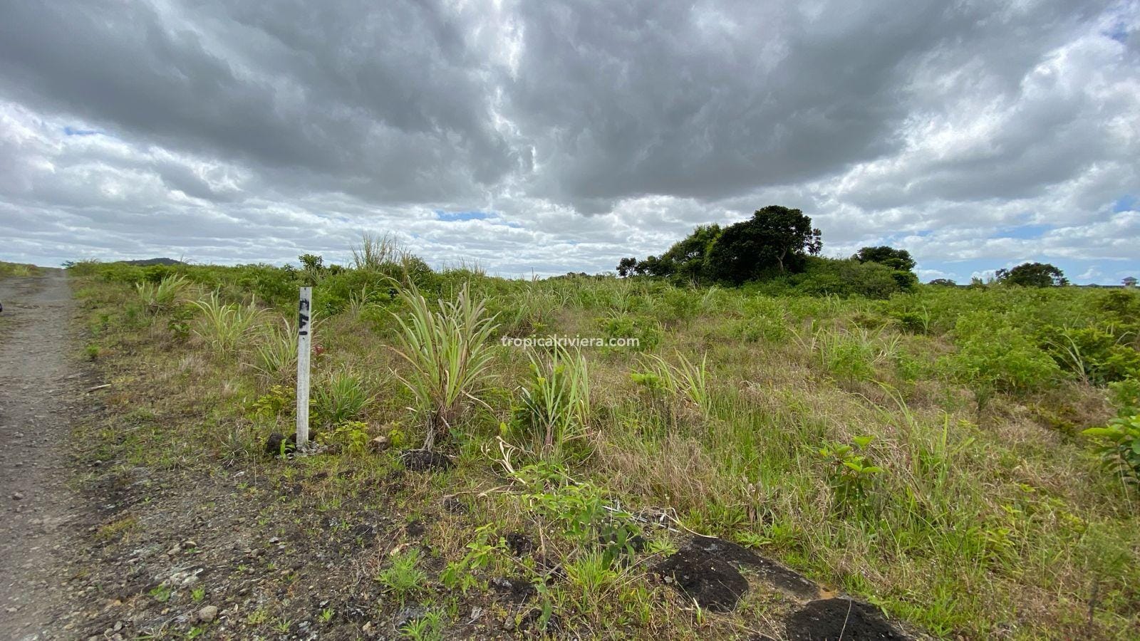 For Sale – Agricultural Land 2,186 m2 – Melrose, Moka