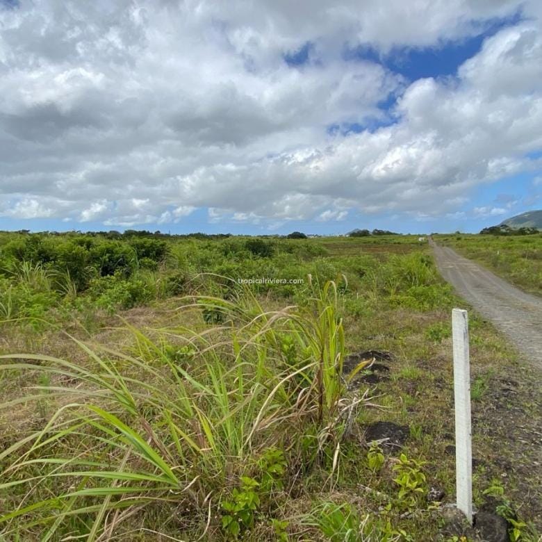 For Sale – Agricultural Land 2,186 m2 – Melrose, Moka