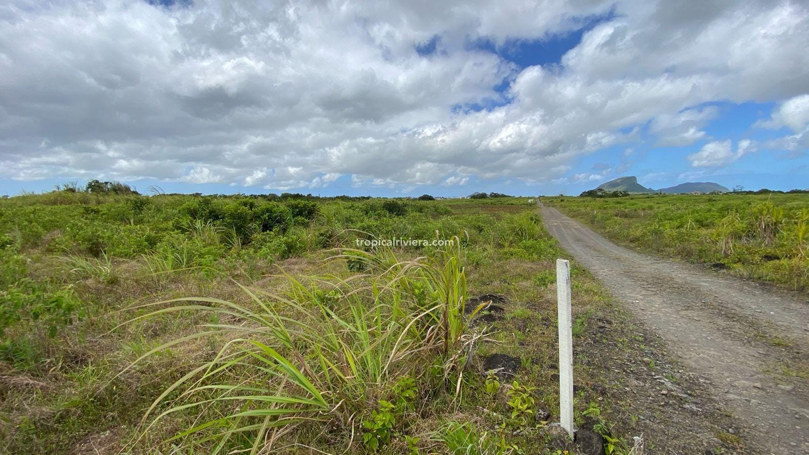 For Sale – Agricultural Land 2,186 m2 – Melrose, Moka