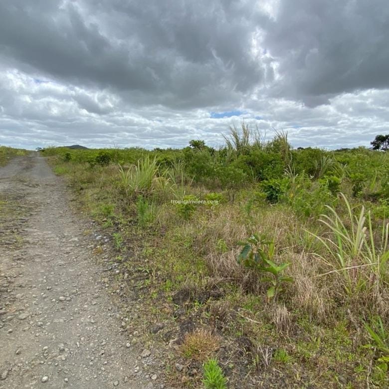 For Sale – Agricultural Land 2,186 m2 – Melrose, Moka