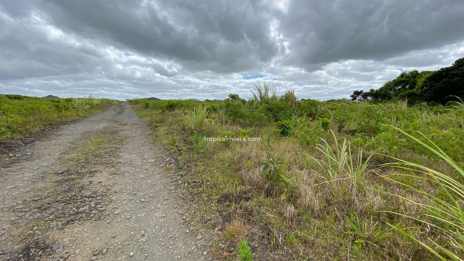 For Sale – Agricultural Land 2,186 m2 – Melrose, Moka