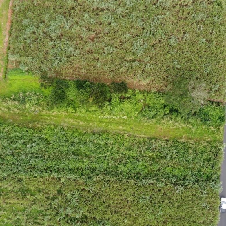 For Sale – Residential Land 555.25 m2 – New Grove, Grand Port