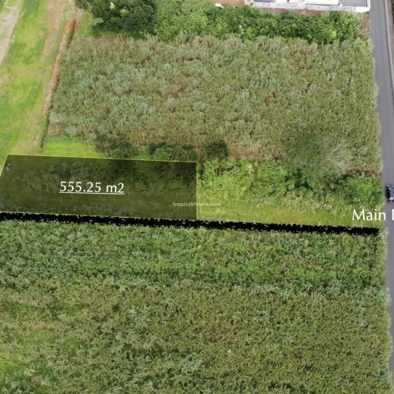 For Sale – Residential Land 555.25 m2 – New Grove, Grand Port