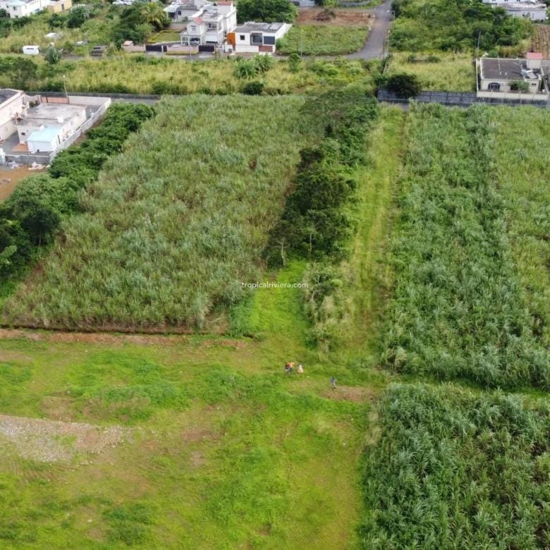 For Sale – Residential Land 555.25 m2 – New Grove, Grand Port