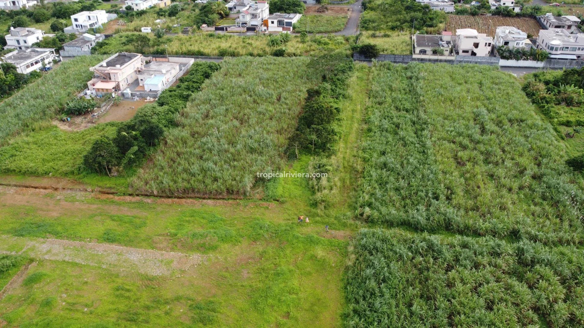 For Sale – Residential Land 555.25 m2 – New Grove, Grand Port
