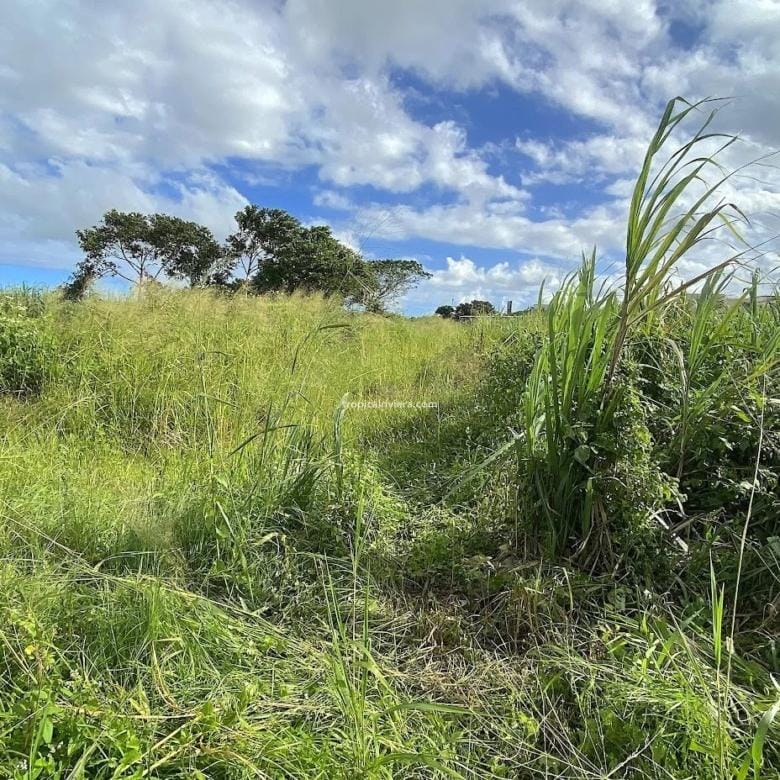 For Sale – Residential Land 555.25 m2 – New Grove, Grand Port