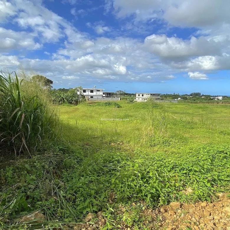 For Sale – Residential Land 555.25 m2 – New Grove, Grand Port