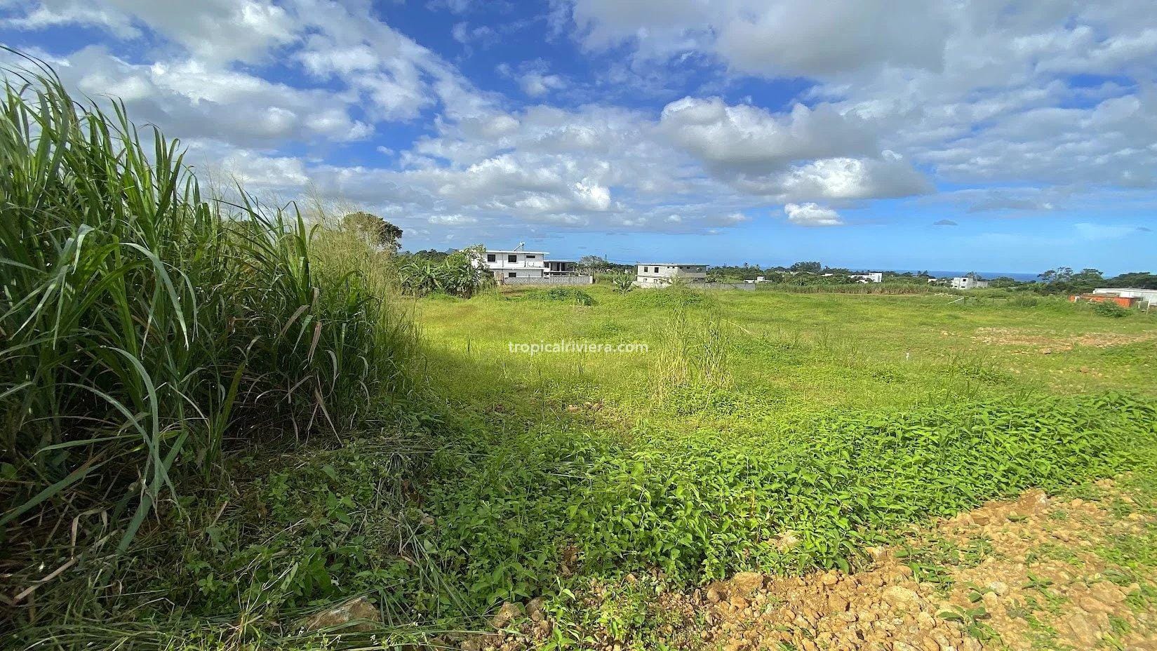 For Sale – Residential Land 555.25 m2 – New Grove, Grand Port