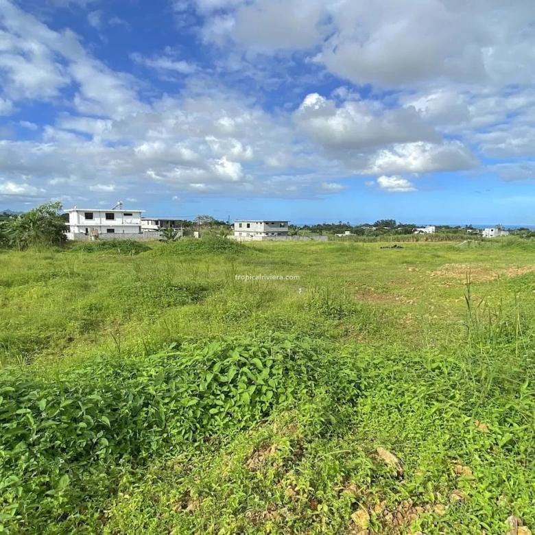 For Sale – Residential Land 555.25 m2 – New Grove, Grand Port