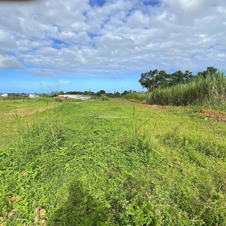 For Sale – Residential Land 555.25 m2 – New Grove, Grand Port