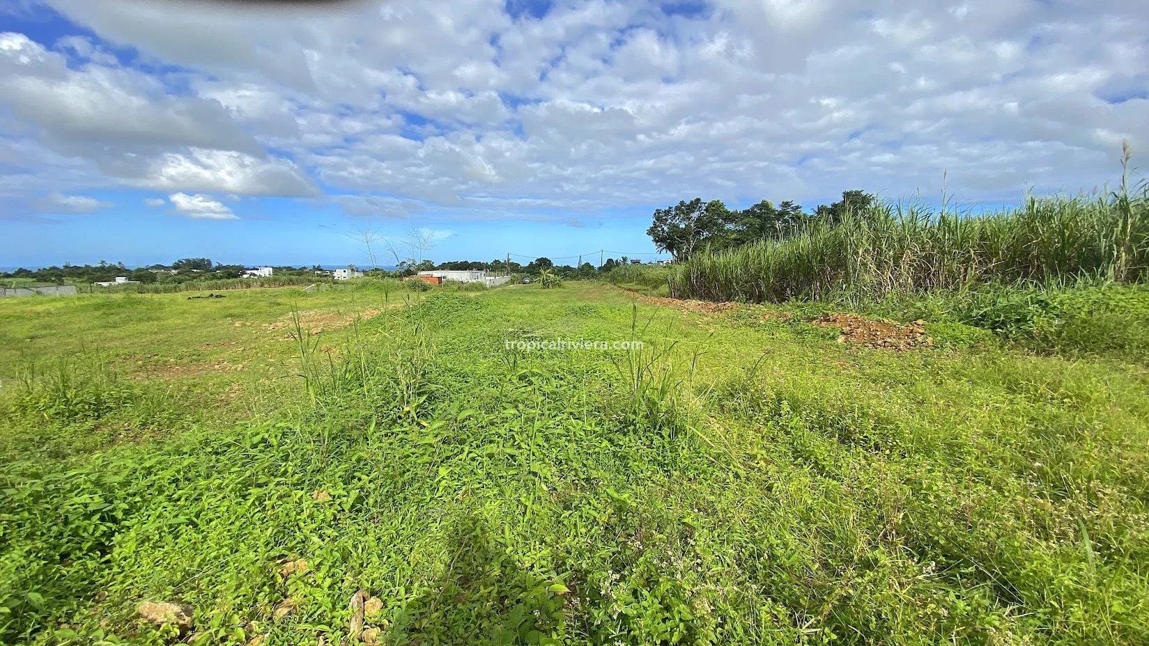 For Sale – Residential Land 555.25 m2 – New Grove, Grand Port