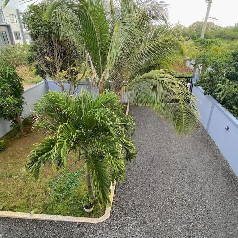 Spacious 3-Bedroom Fully Furnished Apartment for Rent in Plaines des Papayes – 150 m²