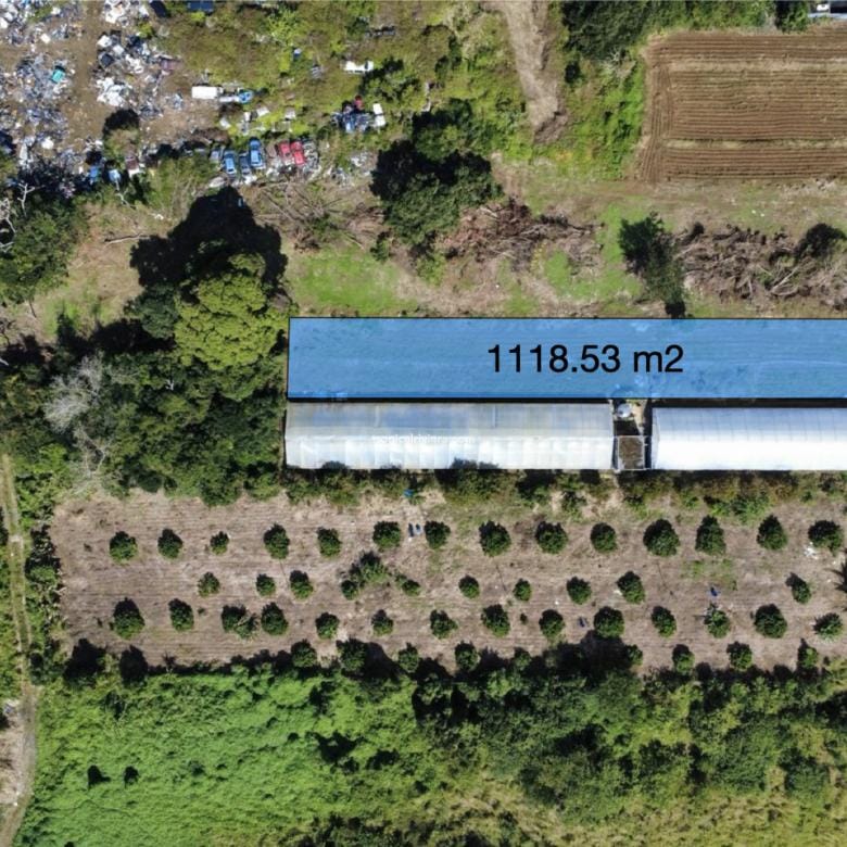 For Sale – Residential Land 1,118.53 m2 – Riche Mare, Centre de Flacq