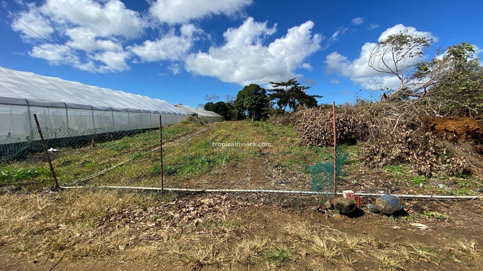 For Sale – Residential Land 1,118.53 m2 – Riche Mare, Centre de Flacq