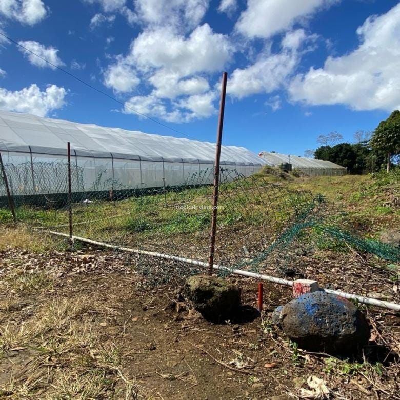 For Sale – Residential Land 1,118.53 m2 – Riche Mare, Centre de Flacq