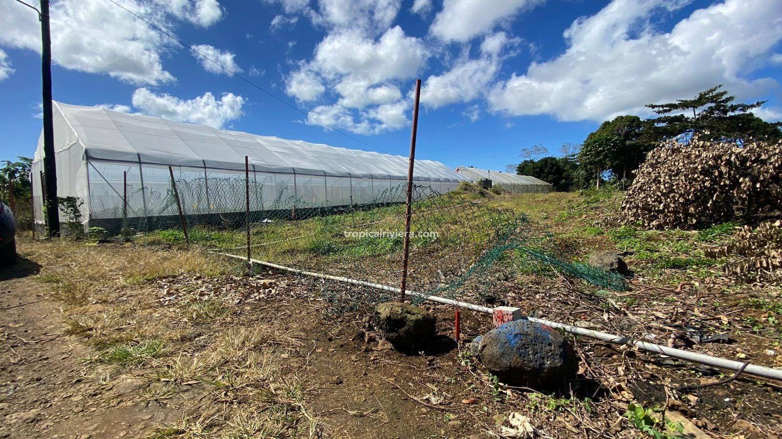 For Sale – Residential Land 1,118.53 m2 – Riche Mare, Centre de Flacq