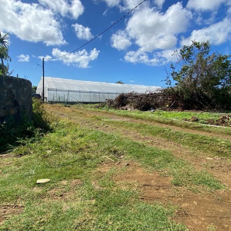 For Sale – Residential Land 1,118.53 m2 – Riche Mare, Centre de Flacq