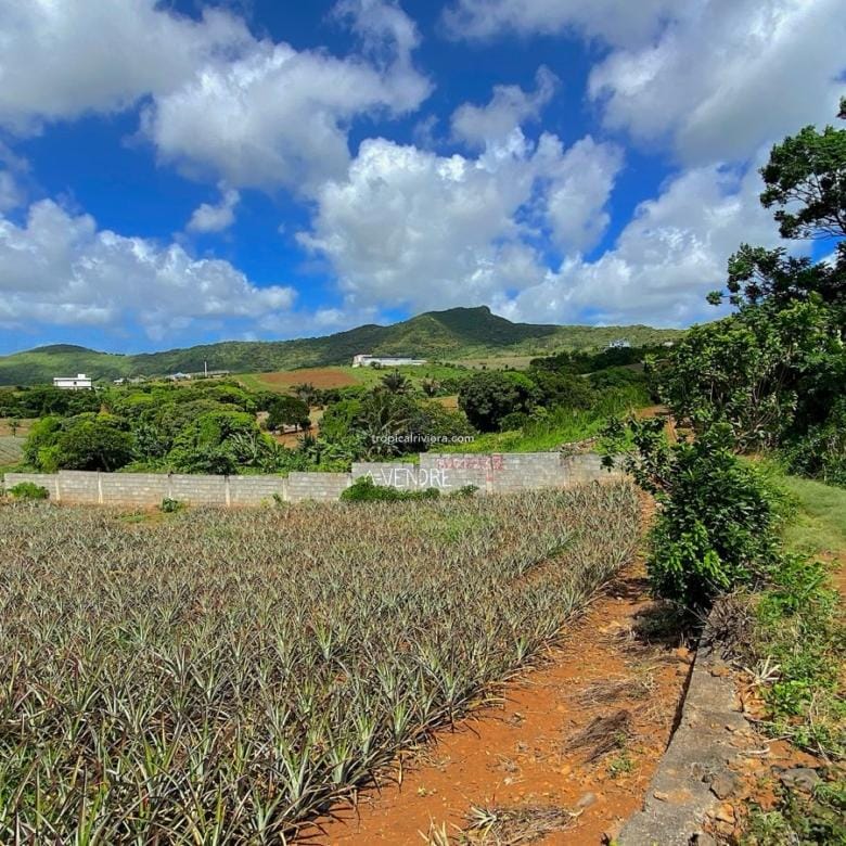 Residential Land for Sale in Les Mariannes – 695 m² Plot with Panoramic Views