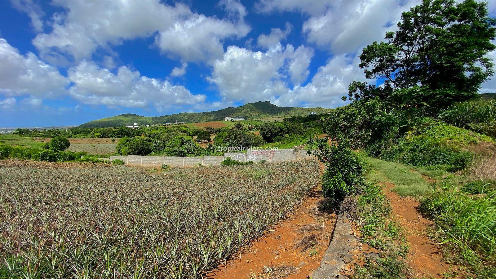 Residential Land for Sale in Les Mariannes – 695 m² Plot with Panoramic Views