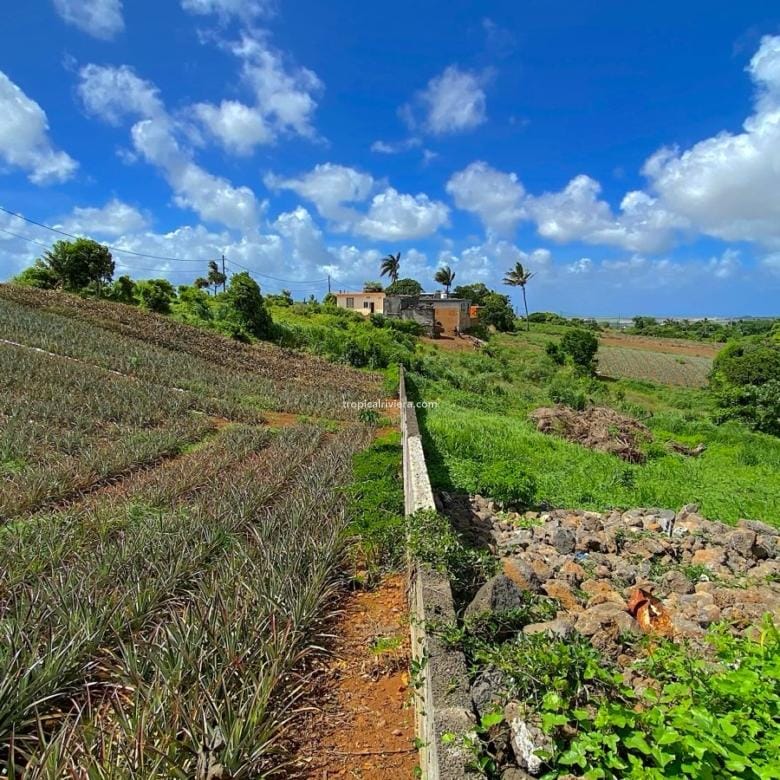 Residential Land for Sale in Les Mariannes – 695 m² Plot with Panoramic Views
