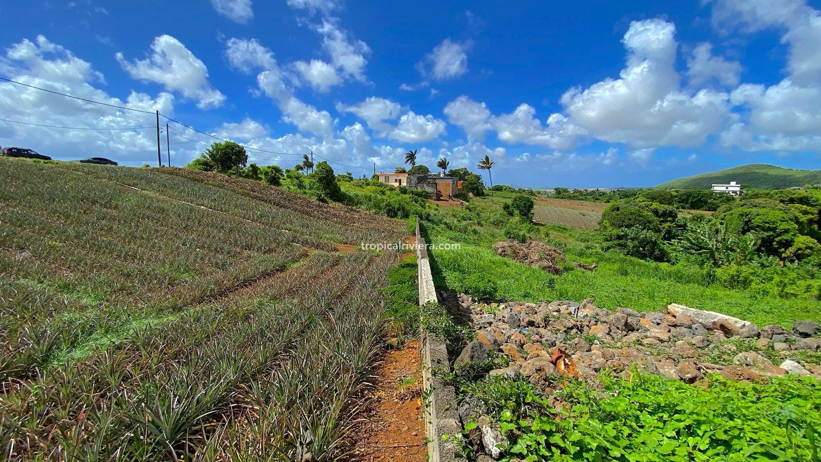 Residential Land for Sale in Les Mariannes – 695 m² Plot with Panoramic Views